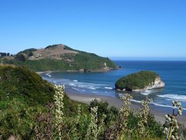 Lais Puzzle - Pinguin Reservierung Islotes de Punihuil auf Chiloe Island in Chile - 500 & 1.000 Teile