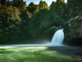 Lais Puzzle - Puyehue Nationalpark, Chile - 500 & 1.000 Teile