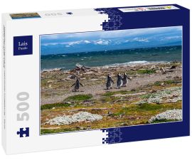 Lais Puzzle - Magellan-Pinguine in natürlicher Umgebung - Seno Otway Penguin, Chile - 500 Teile