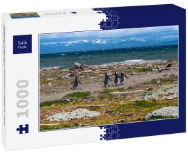 Lais Puzzle - Magellan-Pinguine in natürlicher Umgebung - Seno Otway Penguin, Chile - 1.000 Teile