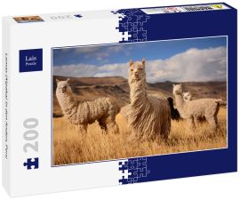 Lais Puzzle - Lamas (Alpaka) in den Anden, Peru - 200 Teile