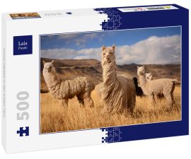Lais Puzzle - Lamas (Alpaka) in den Anden, Peru - 500 Teile