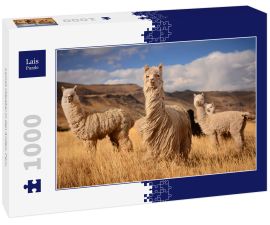 Lais Puzzle - Lamas (Alpaka) in den Anden, Peru - 1.000 Teile