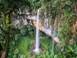 Lais Puzzle - Wasserfall im Wald, Yumbilla Falls, 2., Cuispes - 500 & 1.000 Teile