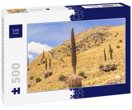 Lais Puzzle - Puya raimondii, auch als Königin der Anden oder puya de Raimondi bekannt, ist die größte Bromelienart und erreicht eine Höhe von bis zu 15 Metern. Weiße Kordilleren, Peru - 500 Teile