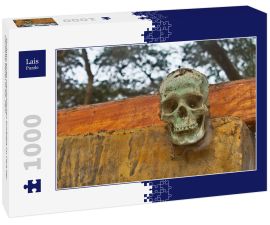 Lais Puzzle - Skulptur eines menschlichen Schädels im Park der Cachiche-Hexen in Ica, Peru - 1.000 Teile