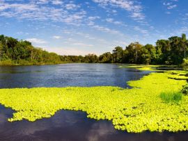 Lais Puzzle - Panoramablick auf den Marañon-Fluss im Pacaya Samiria Reservat in Peru, in der Nähe von Iquitos. Der Fluss der Spiegel - 500 & 1.000 Teile