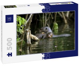 Lais Puzzle - Riesenotter, pteronura brasiliensis, Erwachsene und junge Stehende im Fluss Madre de Dios, Manu Parc in Peru - 500 Teile