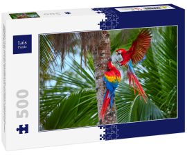 Lais Puzzle - Zwei Ara macao, Scharlachara, Paar große, rot gefärbte, amazonische Papageien in der Nähe des Nistplatzes auf einer Palme, ausgestreckte Flügel, langer roter Schwanz gegen feuchten Wald. Manu-Nationalpark, Peru, Amazonasbecken - 500 Teile