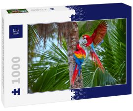 Lais Puzzle - Zwei Ara macao, Scharlachara, Paar große, rot gefärbte, amazonische Papageien in der Nähe des Nistplatzes auf einer Palme, ausgestreckte Flügel, langer roter Schwanz gegen feuchten Wald. Manu-Nationalpark, Peru, Amazonasbecken - 1.000 Teile