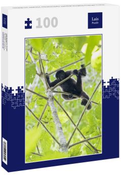 Lais Puzzle - Peru, Manu-Nationalpark, Schwarzer Heuler im Baum - 100 Teile