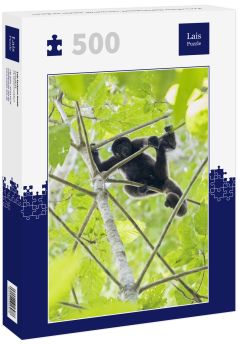 Lais Puzzle - Peru, Manu-Nationalpark, Schwarzer Heuler im Baum - 500 Teile