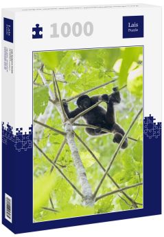 Lais Puzzle - Peru, Manu-Nationalpark, Schwarzer Heuler im Baum - 1.000 Teile