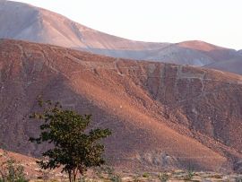 Lais Puzzle - Geoglyphen von Lamas in Chen Chen (Moquegua, Südperu) - 500 & 1.000 Teile