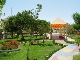 Lais Puzzle - Garten in Moquegua, Peru - 500 & 1.000 Teile