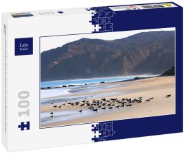 Lais Puzzle - Möwen rasten auf dem Sand am Strand von Cabo Blanco im Norden Perus - 100 Teile