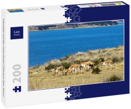 Lais Puzzle - Vikunjas auf der Insel Suasi (Titicaca-See, Peru) - 200 Teile