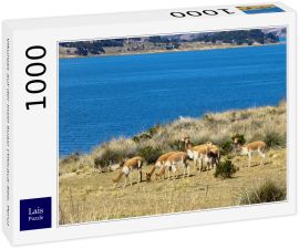 Lais Puzzle - Vikunjas auf der Insel Suasi (Titicaca-See, Peru) - 1.000 Teile