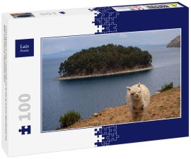 Lais Puzzle - Lama Alpaka in einer Landschaft von la isla de la luna (Mondinsel) mit Meer und Insel im Titicacasee, Peru - 100 Teile