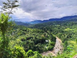 Lais Puzzle - Tarapoto, Peru - 500 & 1.000 Teile
