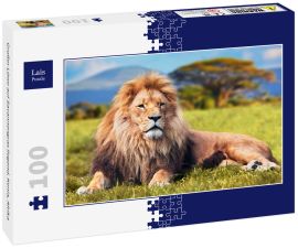 Lais Puzzle - Großer Löwe auf Savannengras liegend. Kenia, Afrika - 100 Teile