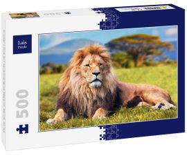 Lais Puzzle - Großer Löwe auf Savannengras liegend. Kenia, Afrika - 500 Teile