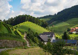 Lais Puzzle - Ein Spaziergang durch die Gemeinde Durbach im Ortenaukreis, Deutschland - 500 & 1.000 Teile