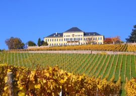 Lais Puzzle - Schloss Johannisberg im Rheingau - 500 & 1.000 Teile