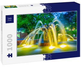 Lais Puzzle - Nachtansicht des Gauklerbrunnens im Stadtpark in Dortmund, Deutschland - 1.000 Teile