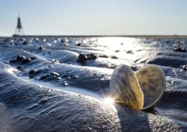 Lais Puzzle - Sandschneise im Wattenmeer in Cuxhaven mit der Kugelbake, einem historischen Hilfsmittel am nördlichsten Punkt Niedersachsens, im Hintergrund - 500 & 1.000 Teile