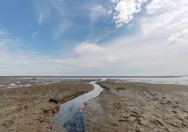 Lais Puzzle - Nahaufnahme des Gezeitenwegs am Sylter Wattenmeer / Deutschland - 500 & 1.000 Teile