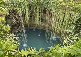 Lais Puzzle - Regenwald-Cenote auf der Halbinsel Yucatan. Tiefe, mit Süßwasser gefüllte Löcher in Yucatan, Mexiko - 500 & 1.000 Teile