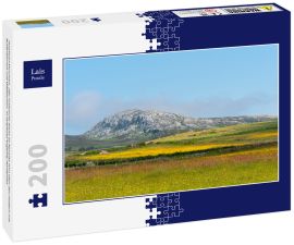 Lais Puzzle - Holyhead Mountain, (der walisische Name ist Mynydd Twr) über den Feldern mit Butterblumen und Wildblumen. In Holyhead Anglesey Nordwales - 200 Teile