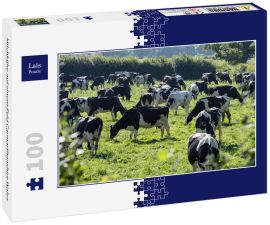 Lais Puzzle - Milchkühe auf einem Feld Carmarthenshire Wales - 100 Teile