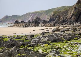 Lais Puzzle - Typische Küstenlandschaft in Wales - 500 & 1.000 Teile