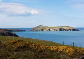 Lais Puzzle - Cardigan Island, Ceredigion, Wales - 500 & 1.000 Teile