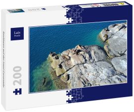 Lais Puzzle - Seelöwen auf der Insel Coronado - 200 Teile