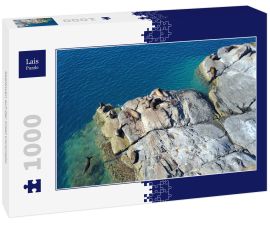 Lais Puzzle - Seelöwen auf der Insel Coronado - 1.000 Teile