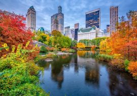 Lais Puzzle - Central Park New York im Herbst - 500 & 1.000 Teile