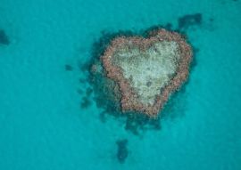 Lais Puzzle - Herz-Riff im Great Barrier Reef, vom Wasserflugzeug aus gesehen - 500 & 1.000 Teile