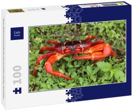 Lais Puzzle - Roter Weihnachtsinselkrebs (Gecarcoidea natalis), Australien - 100 Teile