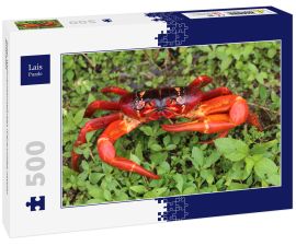 Lais Puzzle - Roter Weihnachtsinselkrebs (Gecarcoidea natalis), Australien - 500 Teile