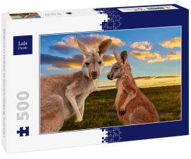 Lais Puzzle - Kängurus im Outback im Sonnenuntergang, Australien - 500 Teile
