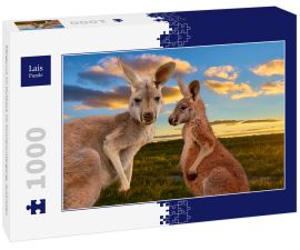 Lais Puzzle - Kängurus im Outback im Sonnenuntergang, Australien - 1.000 Teile