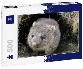 Lais Puzzle - Ein Wombat (Vombatus ursinus)-Baby (Joey), das aus seinem Bau im Grasland kommt - Cradle Mountain, Tasmanien Australien - 500 Teile