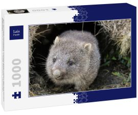 Lais Puzzle - Ein Wombat (Vombatus ursinus)-Baby (Joey), das aus seinem Bau im Grasland kommt - Cradle Mountain, Tasmanien Australien - 1.000 Teile