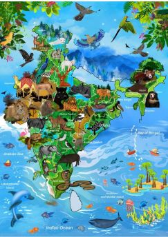 Lais Puzzle - Karte Indien aus Tieren - 500 & 1.000 Teile