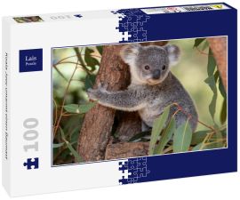 Lais Puzzle - Koala Joey umarmt einen Baumast - 100 Teile