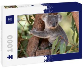 Lais Puzzle - Koala Joey umarmt einen Baumast - 1.000 Teile