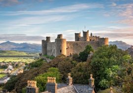 Lais Puzzle - Harlech Castle bei Sonnenaufgang, Wales - 500 & 1.000 Teile